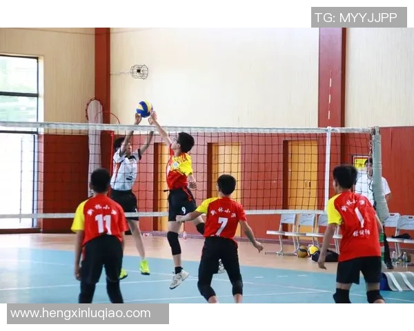 重庆排球队实力解析:从历史成就到未来发展全景展望